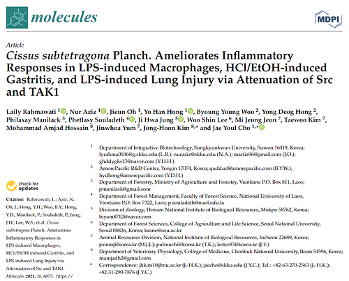 Cissus subtetragona Planch. Ameliorates Inflammatory Responses in LPS-induced Macrophages, HCl/EtOH-induced Gastritis, and LPS-induced Lung Injury via Attenuation of Src and TAK1