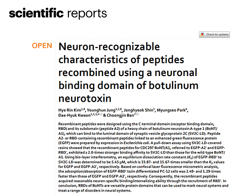 Neuron-recognizable characteristics of peptides recombined using a neuronal binding domain of botulinum neurotoxin