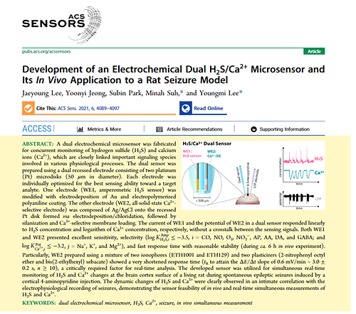 Development of an Electrochemical Dual H 2 S/Ca 2 Microsensor and Its In Vivo Application to a Rat Seizure Model