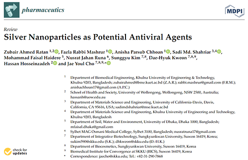 Silver nanoparticles as potential antiviral agents