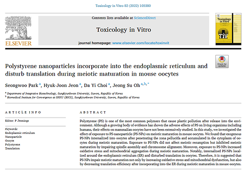 Polystyrene nanoparticles incorporate into the endoplasmic reticulum and disturb translation during meiotic maturation in mouse oocytes