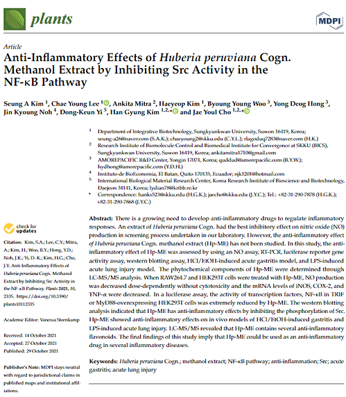Anti-Inflammatory Effects of Huberia peruviana Cogn. Methanol Extract by Inhibiting Src Activity in the NF-kappa B Pathway