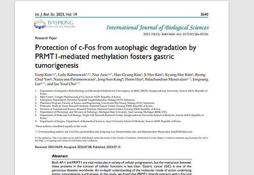 Protection of c-Fos from autophagic degradation by PRMT1-mediated methylation fosters gastric tumorigenesis