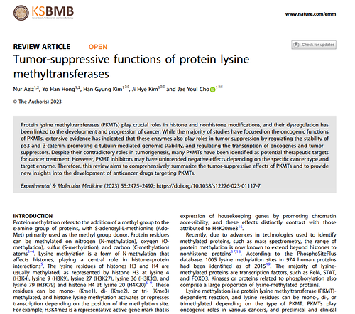 Tumor-suppressive functions of protein lysine methyltransferases