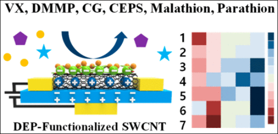66.Single-Walled Carbon-Nanotube-Based Chemocapacitive Sensors with Molecular Receptors for Selective Detection of...